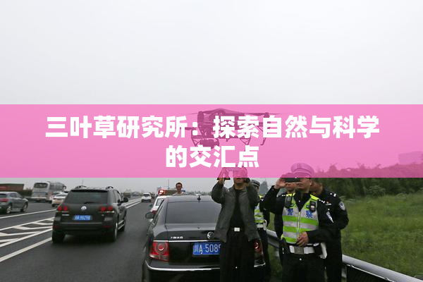 三叶草研究所：探索自然与科学的交汇点