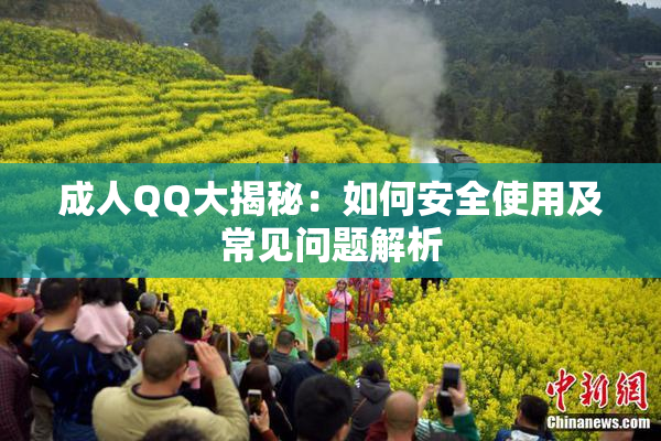 成人QQ大揭秘：如何安全使用及常见问题解析