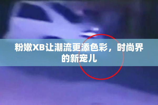 粉嫩XB让潮流更添色彩，时尚界的新宠儿
