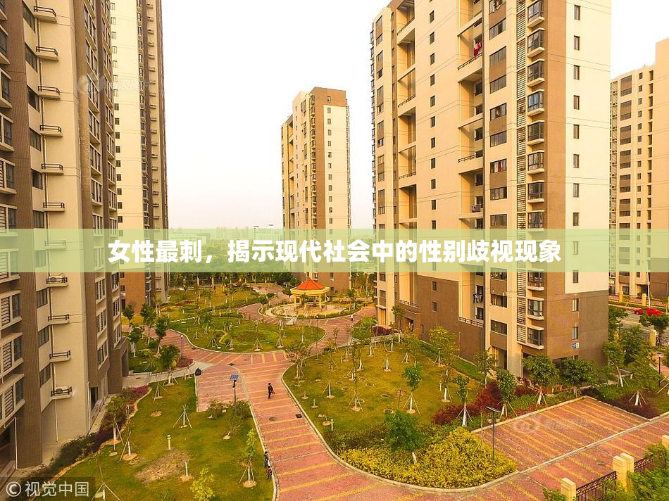 女性最刺，揭示现代社会中的性别歧视现象