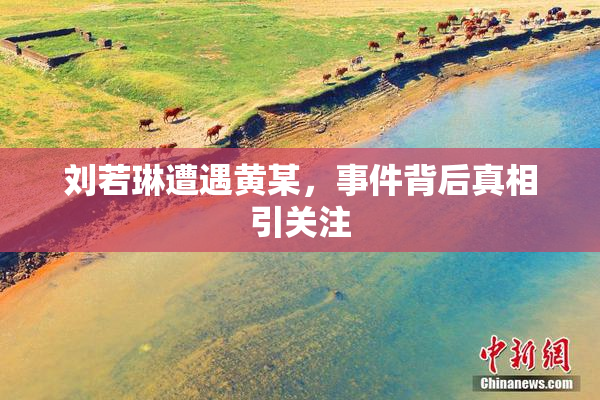 刘若琳遭遇黄某，事件背后真相引关注