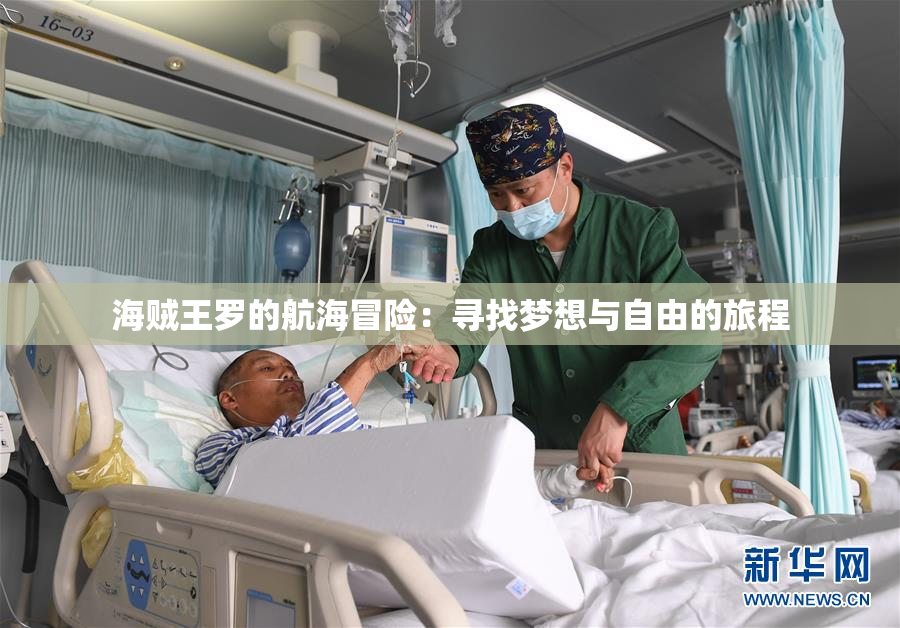 海贼王罗的航海冒险：寻找梦想与自由的旅程
