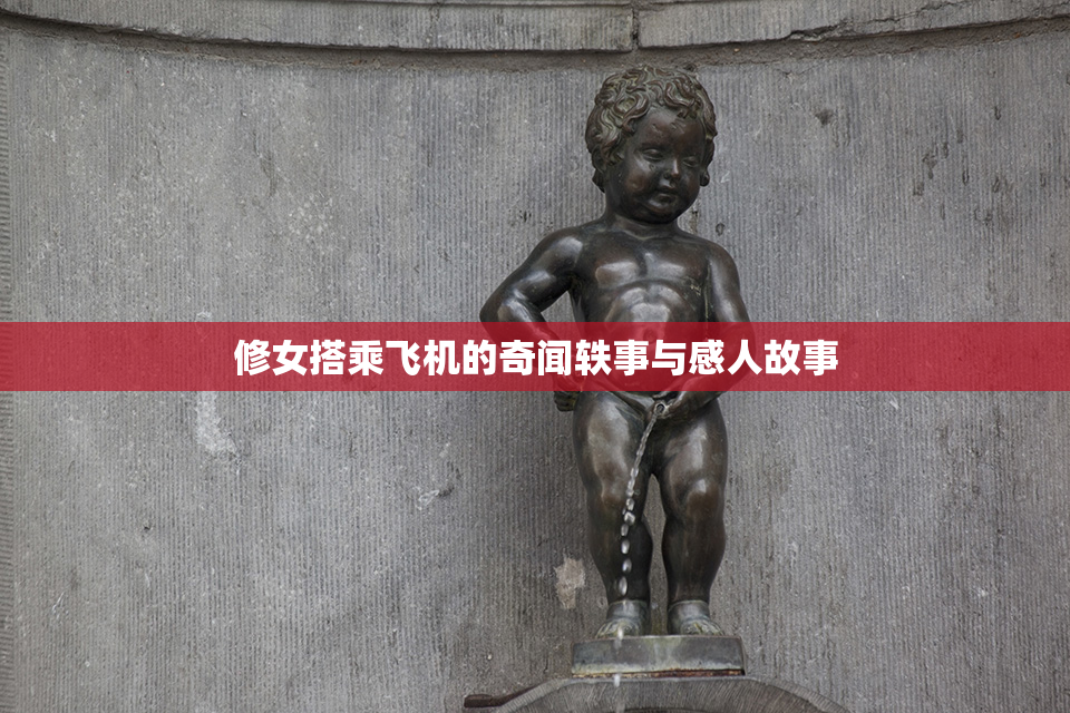 修女搭乘飞机的奇闻轶事与感人故事