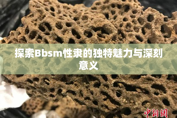 探索Bbsm性隶的独特魅力与深刻意义
