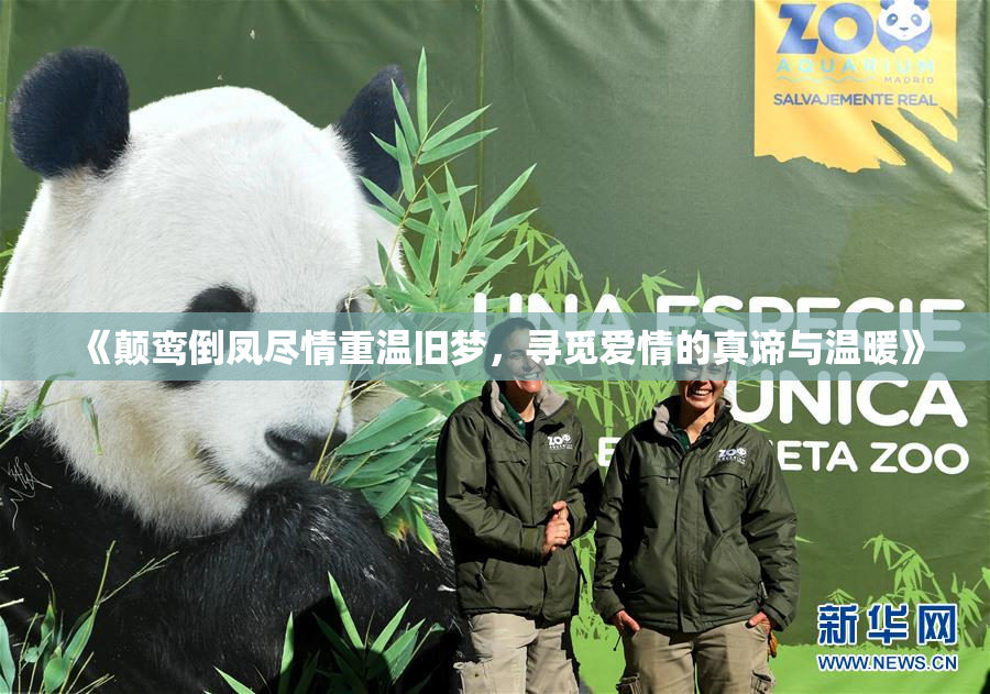 《颠鸾倒凤尽情重温旧梦，寻觅爱情的真谛与温暖》