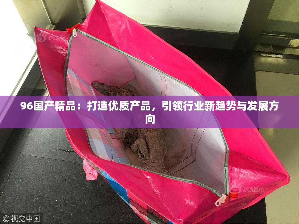 96国产精品：打造优质产品，引领行业新趋势与发展方向