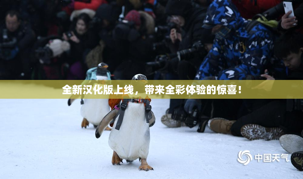 全新汉化版上线，带来全彩体验的惊喜！