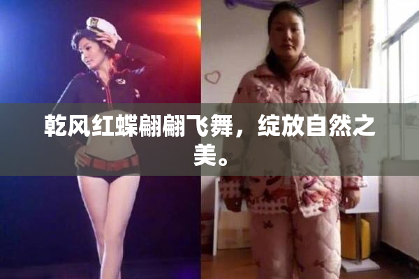 乾风红蝶翩翩飞舞，绽放自然之美。
