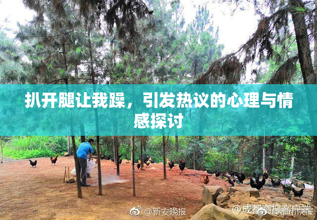 扒开腿让我躁，引发热议的心理与情感探讨