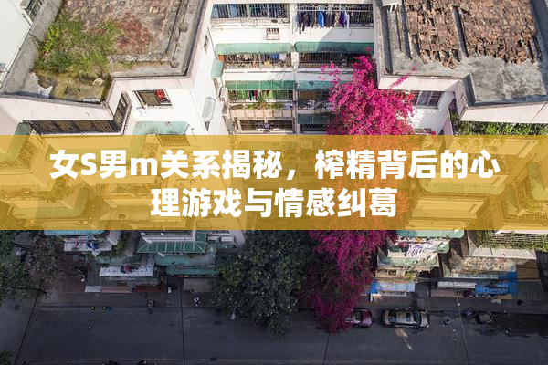 女S男m关系揭秘，榨精背后的心理游戏与情感纠葛