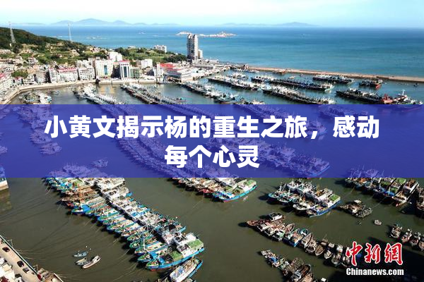 小黄文揭示杨的重生之旅，感动每个心灵