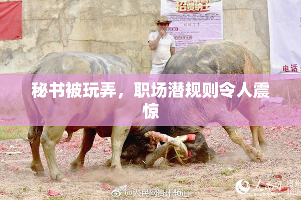 秘书被玩弄，职场潜规则令人震惊