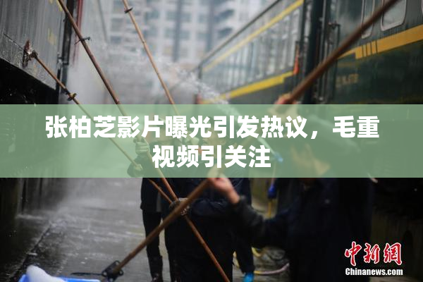张柏芝影片曝光引发热议，毛重视频引关注