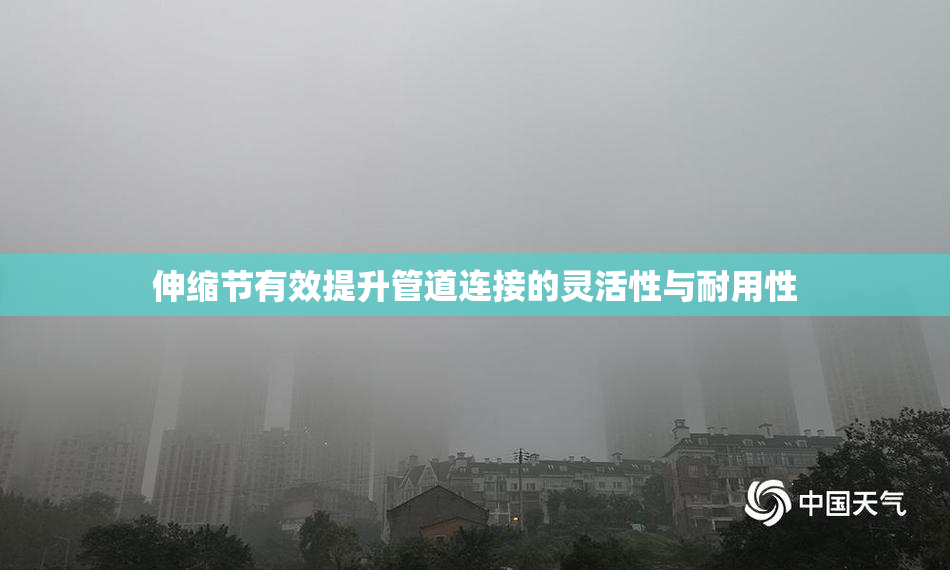 伸缩节有效提升管道连接的灵活性与耐用性
