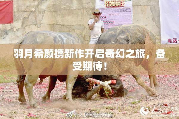 羽月希颜携新作开启奇幻之旅，备受期待！