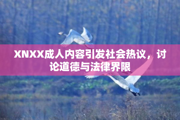 XNXX成人内容引发社会热议，讨论道德与法律界限