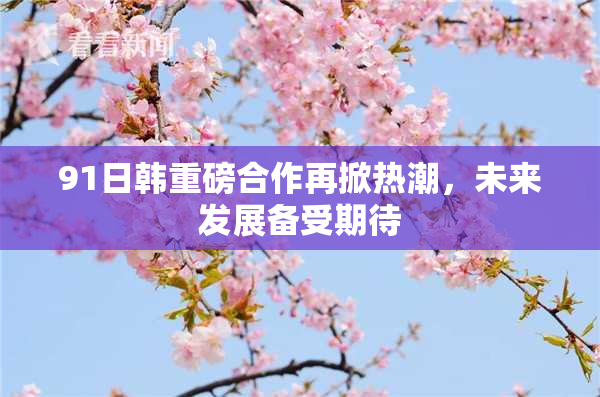 91日韩重磅合作再掀热潮，未来发展备受期待