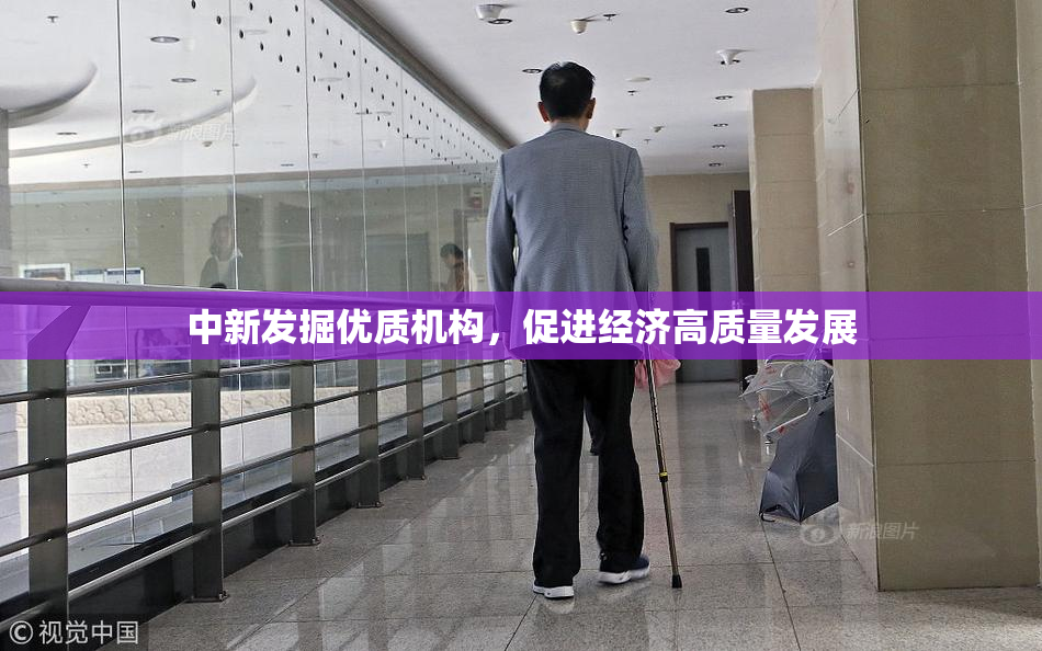中新发掘优质机构，促进经济高质量发展