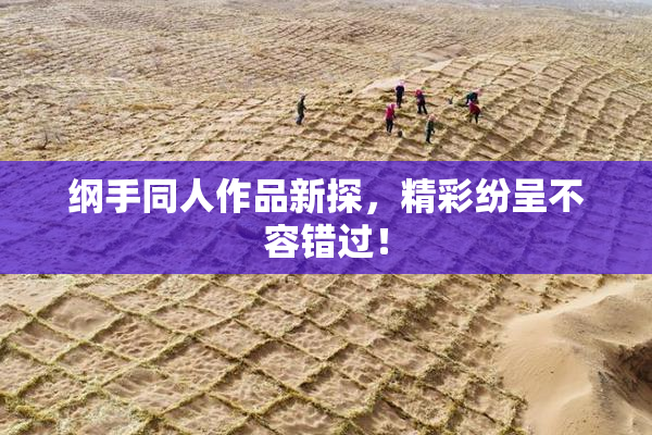 纲手同人作品新探，精彩纷呈不容错过！