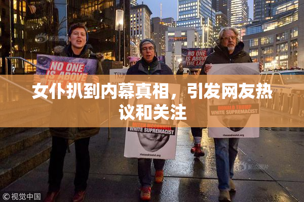 女仆扒到内幕真相，引发网友热议和关注