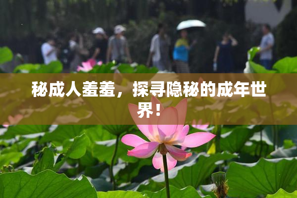 秘成人羞羞，探寻隐秘的成年世界！