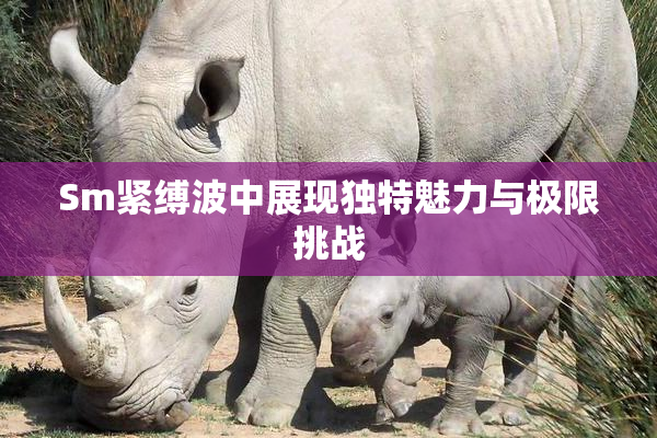 Sm紧缚波中展现独特魅力与极限挑战