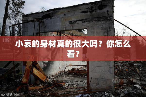 小哀的身材真的很大吗？你怎么看？