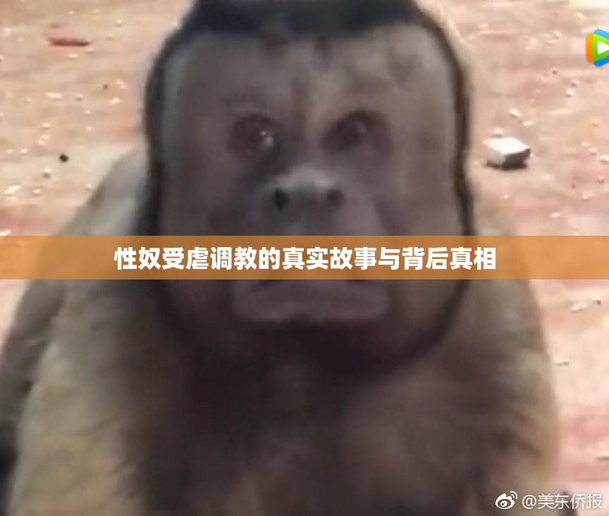 性奴受虐调教的真实故事与背后真相