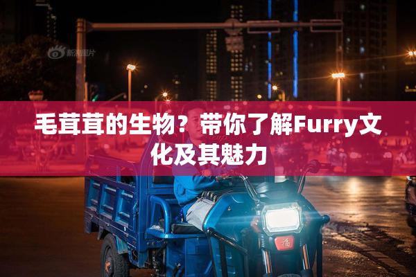 毛茸茸的生物？带你了解Furry文化及其魅力