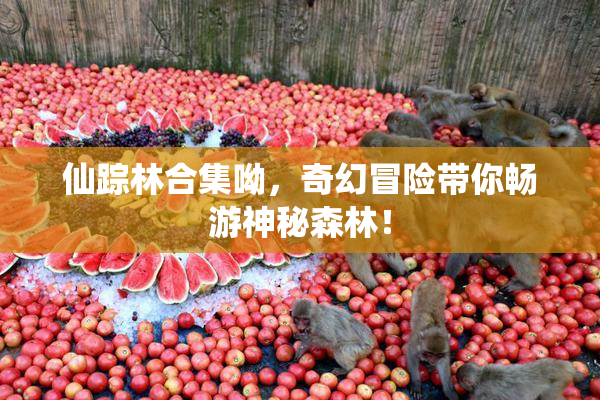 仙踪林合集呦，奇幻冒险带你畅游神秘森林！