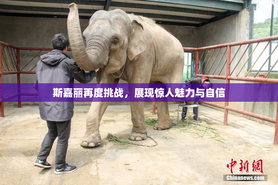 斯嘉丽再度挑战，展现惊人魅力与自信