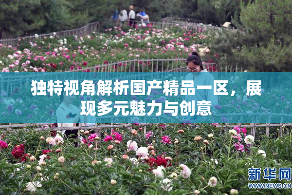 独特视角解析国产精品一区，展现多元魅力与创意