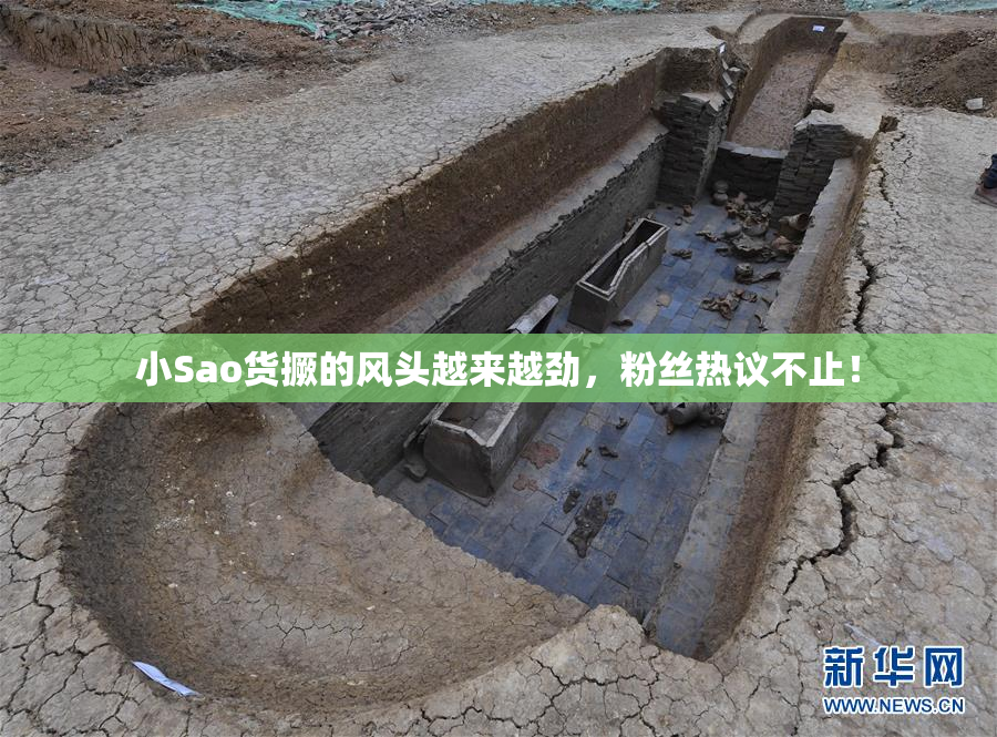 小Sao货撅的风头越来越劲，粉丝热议不止！