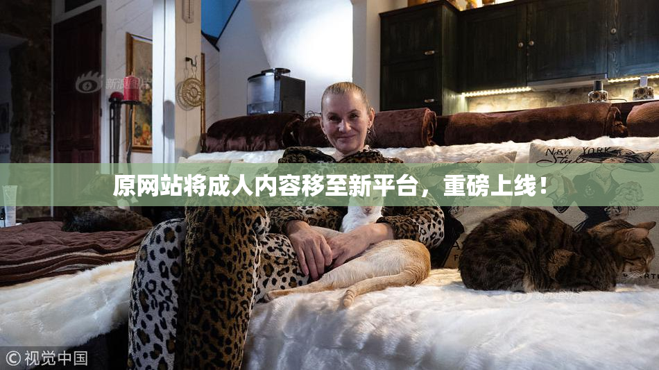 原网站将成人内容移至新平台，重磅上线！