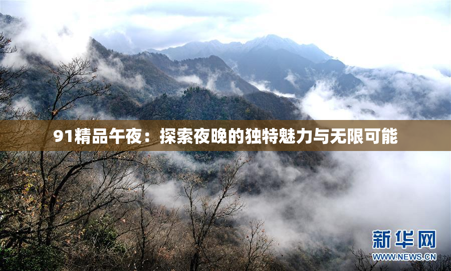 91精品午夜：探索夜晚的独特魅力与无限可能