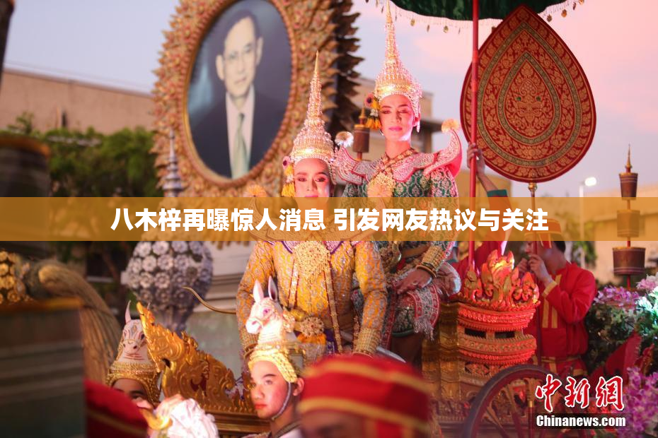 八木梓再曝惊人消息 引发网友热议与关注
