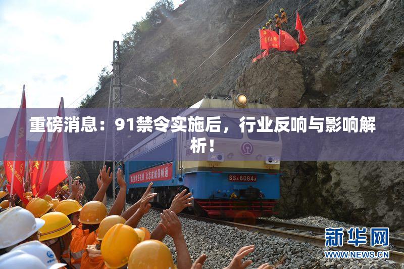 重磅消息：91禁令实施后，行业反响与影响解析！