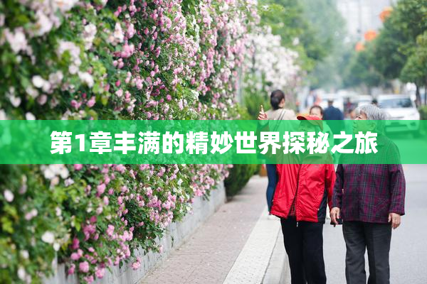第1章丰满的精妙世界探秘之旅