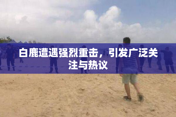 白鹿遭遇强烈重击，引发广泛关注与热议
