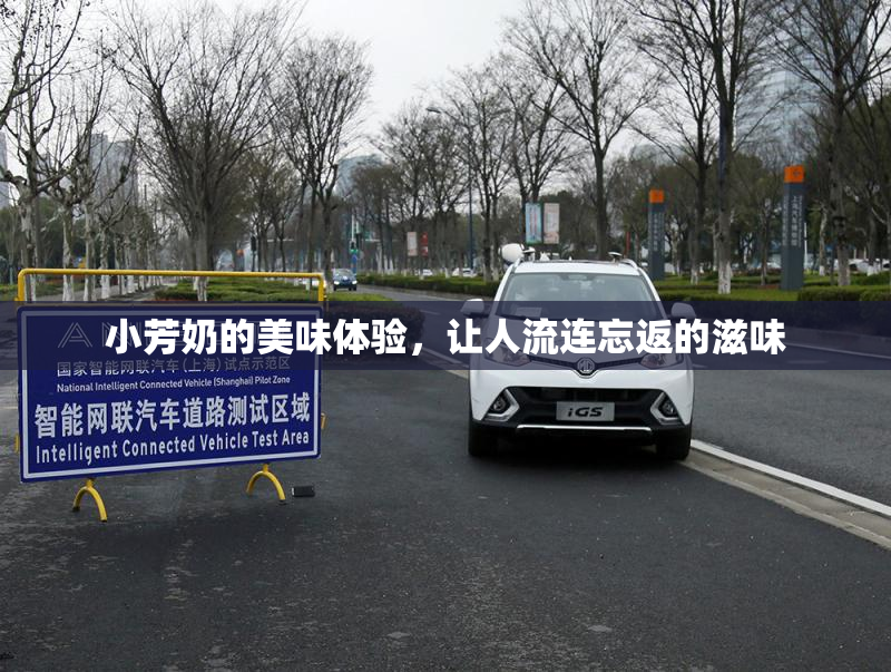 小芳奶的美味体验，让人流连忘返的滋味