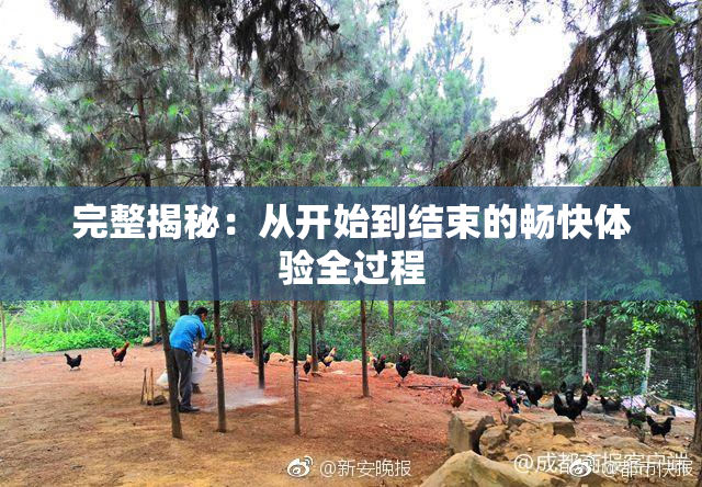 完整揭秘：从开始到结束的畅快体验全过程