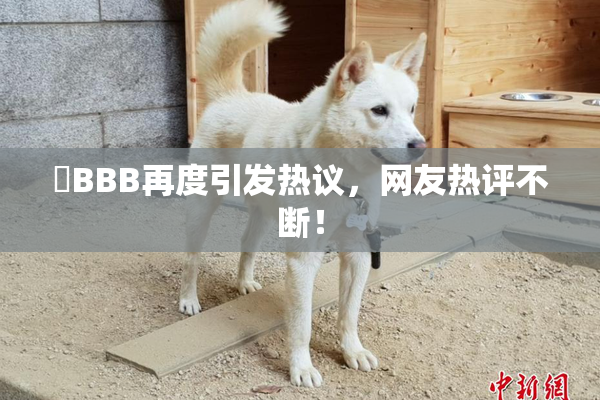 嫰BBB再度引发热议，网友热评不断！