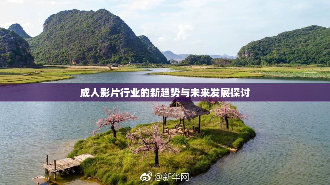 成人影片行业的新趋势与未来发展探讨