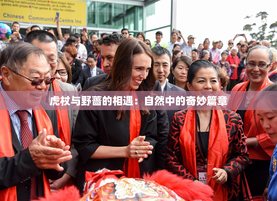 虎杖与野蔷的相遇：自然中的奇妙篇章