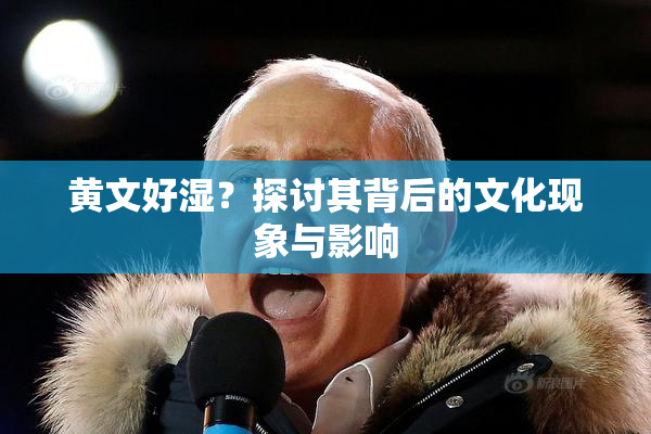 黄文好湿？探讨其背后的文化现象与影响