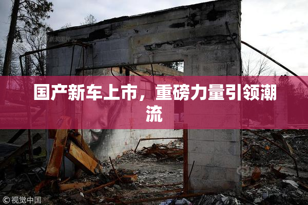国产新车上市，重磅力量引领潮流