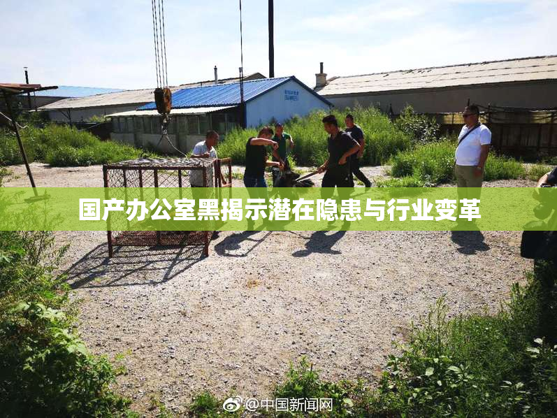 国产办公室黑揭示潜在隐患与行业变革