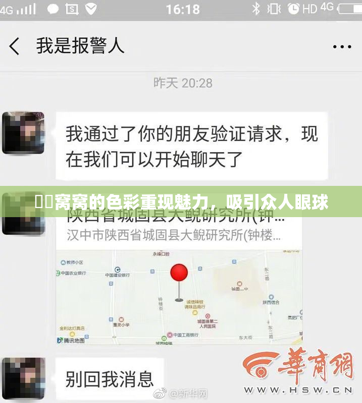 妺妺窝窝的色彩重现魅力，吸引众人眼球