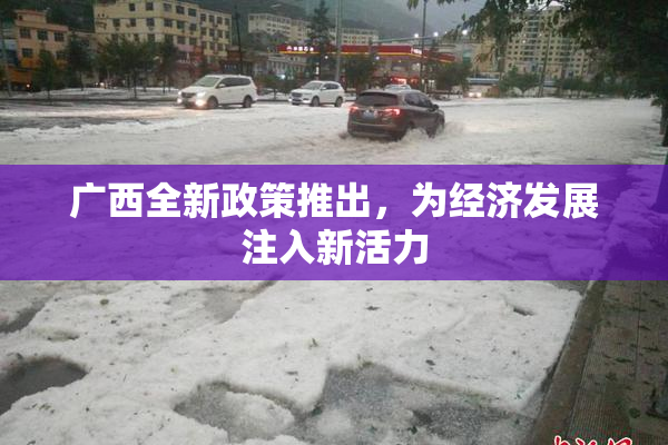 广西全新政策推出，为经济发展注入新活力