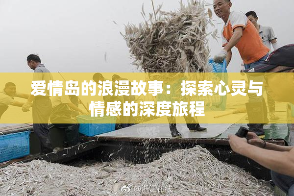 爱情岛的浪漫故事：探索心灵与情感的深度旅程